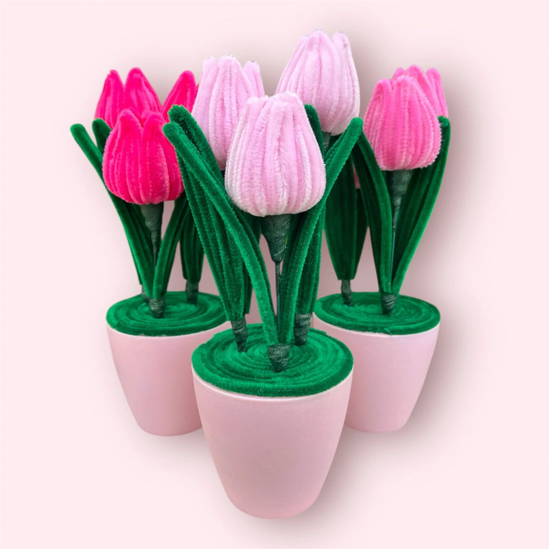 Maceteros de Flores Eternas