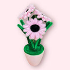 Macetero de 3 Gerberas