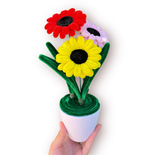 Macetero de 3 Gerberas