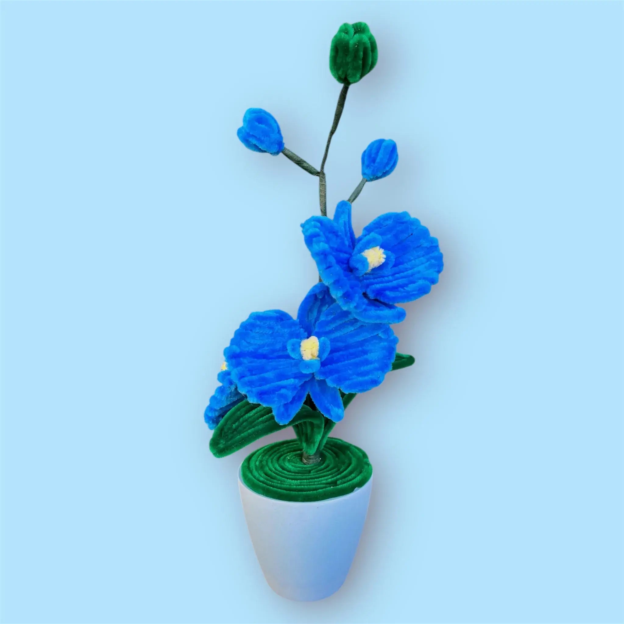 Macetero de 3 Orquídeas