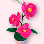 Macetero de 3 Orquídeas