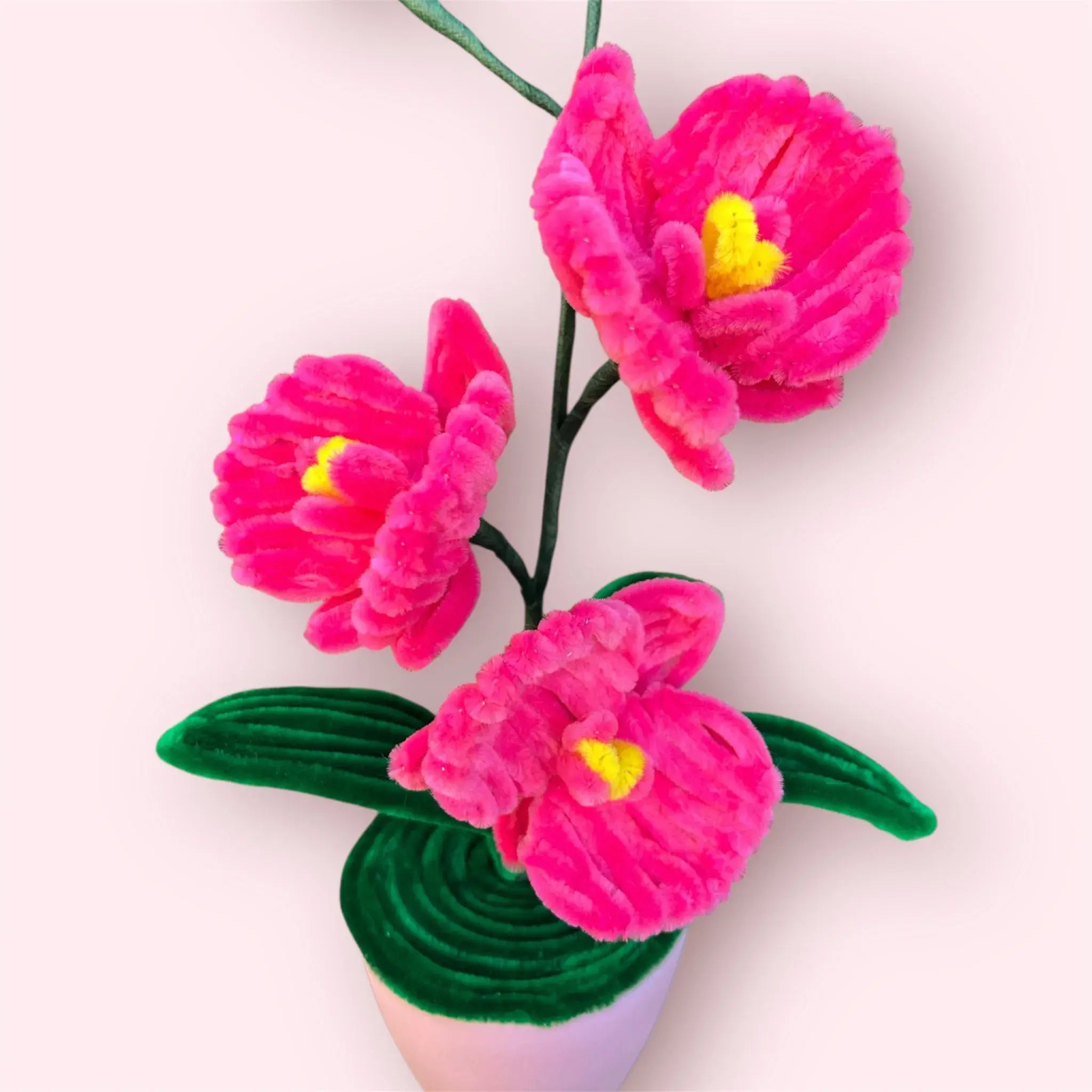 Macetero de 3 Orquídeas