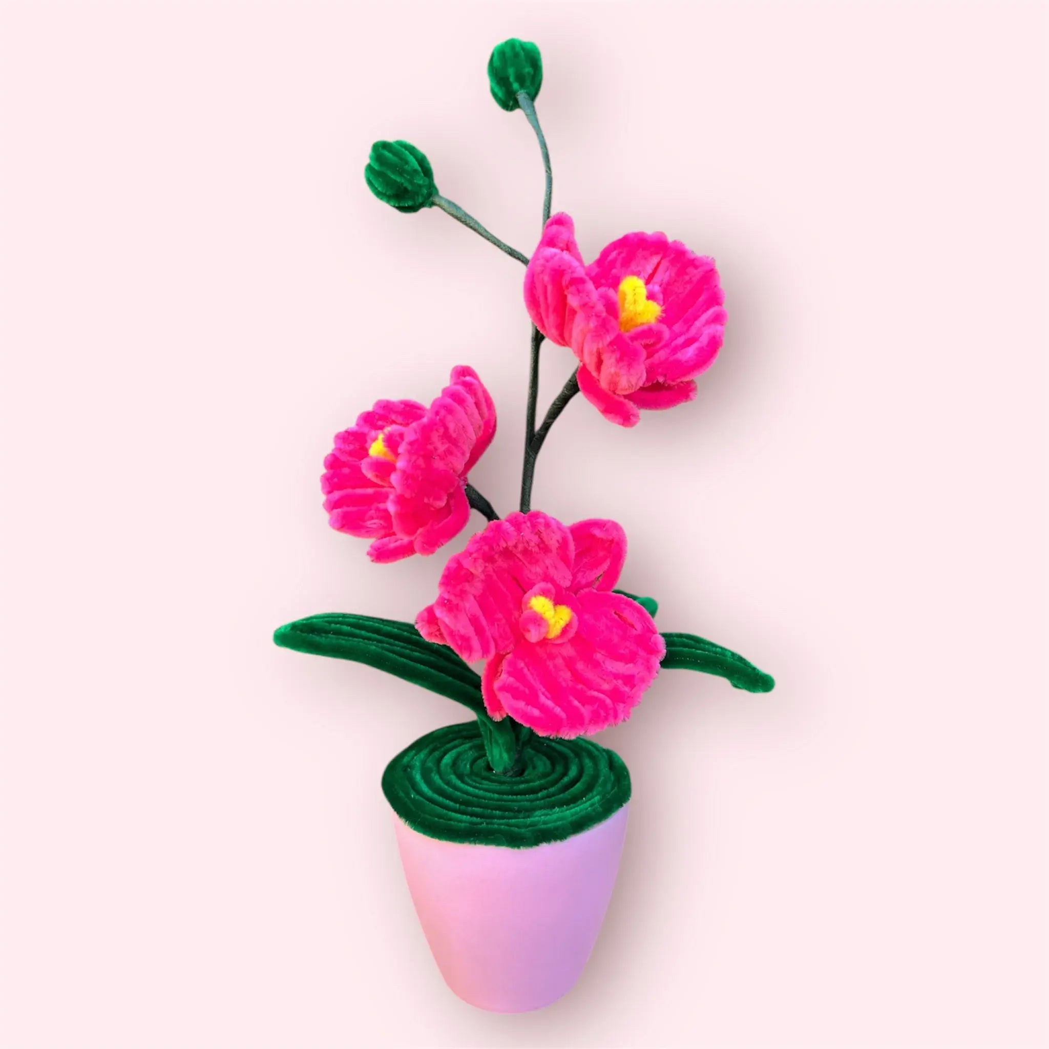 Macetero de 3 Orquídeas