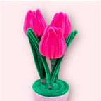 Macetero de 3 Tulipanes