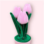 Macetero de 3 Tulipanes