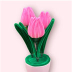 Macetero de 3 Tulipanes