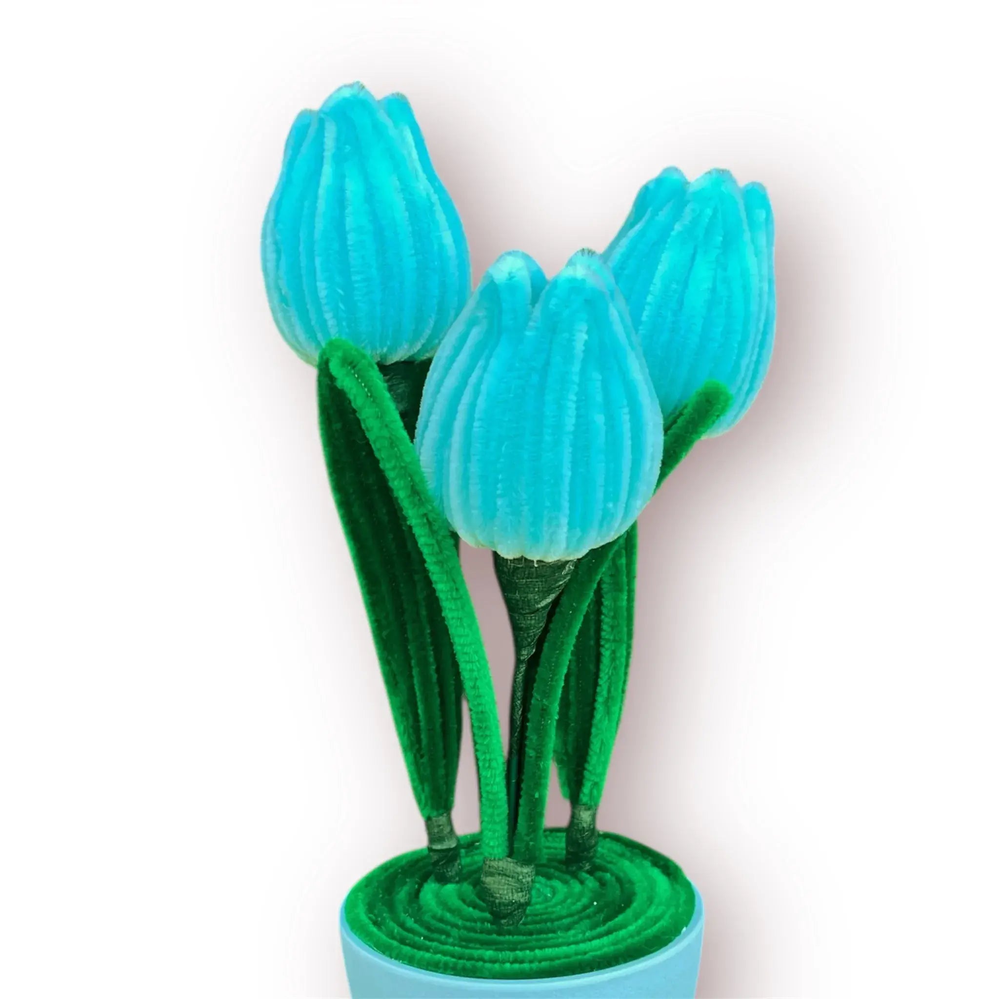 Macetero de 3 Tulipanes