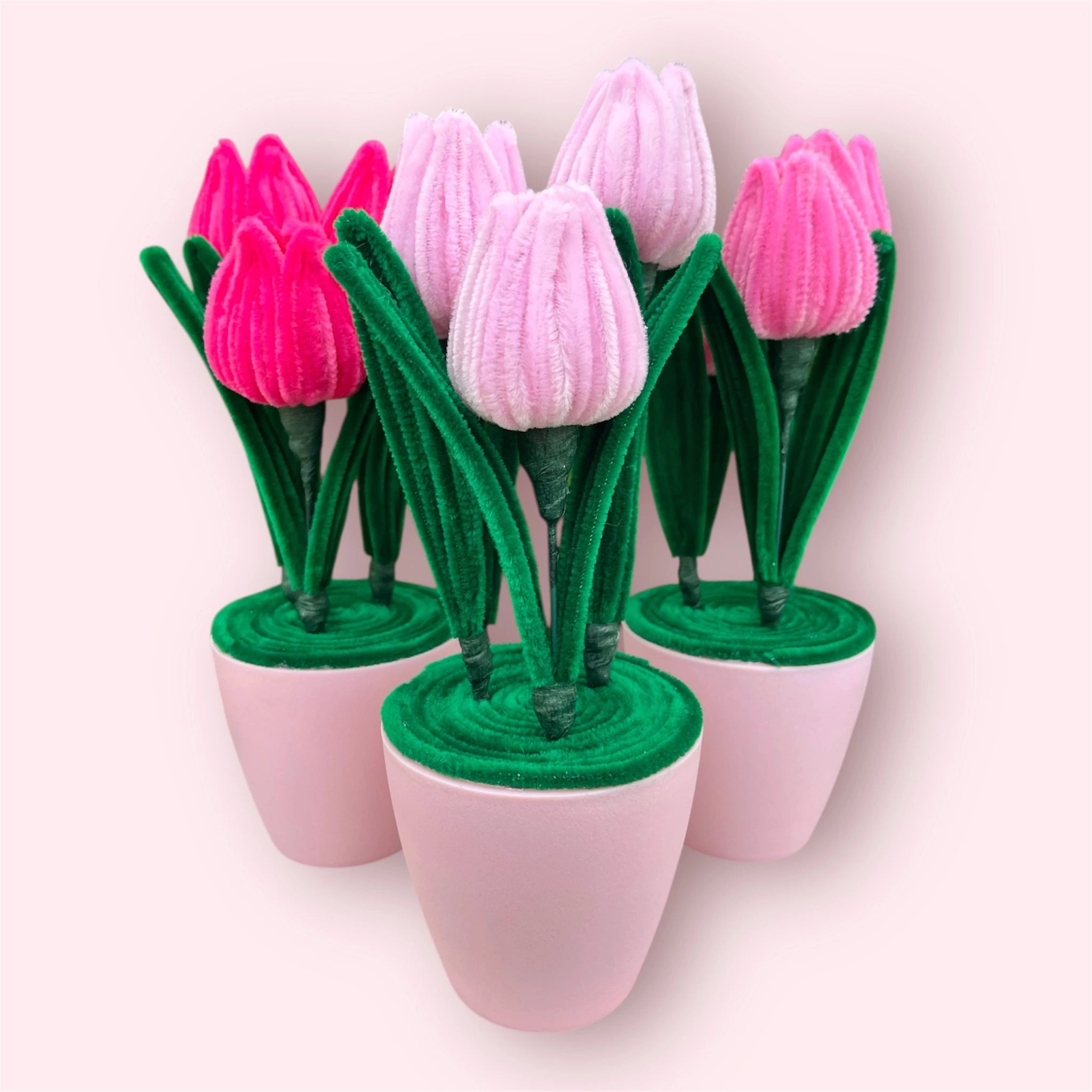 Macetero de 3 Tulipanes